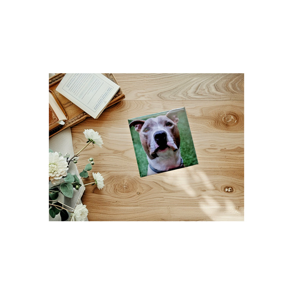 Custom Photo Magnets-2" Square ~Set of 6~Gifts for Friends, Family & Bus… - Picture 2 of 4